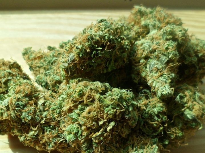 Medizinisches-Cannabis