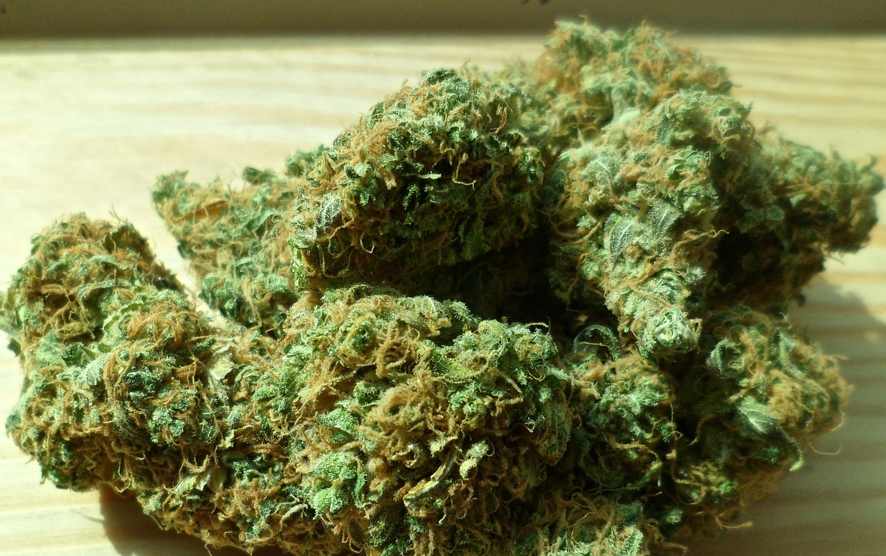 Versorgungsengpässe beim medizinischen Cannabis