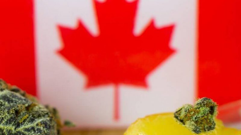 Cannabis Boom In Kanada
