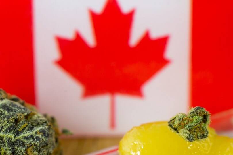 Cannabis-Boom in Kanada – Anzahl der Erstkonsumenten verdoppelt sich