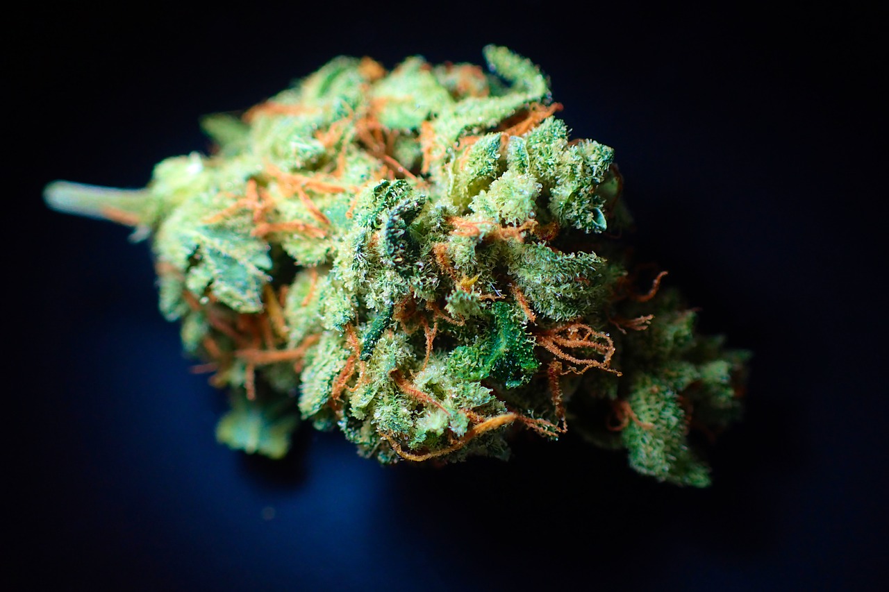 Die 7 häufigsten Cannabis-Mythen entlarvt
