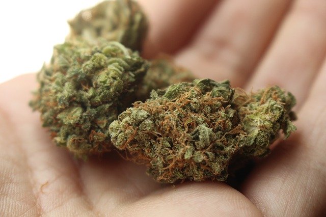 Grazer können Cannabis-Produkte bald online bestellen