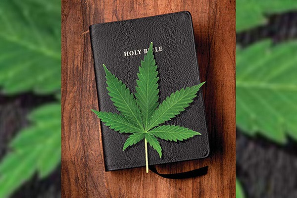 Kaneh Bosm – Cannabis im Alten Testament?