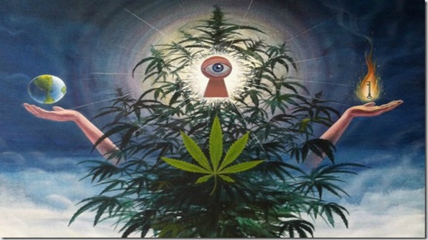 Cannabis, der Baum des Lebens?