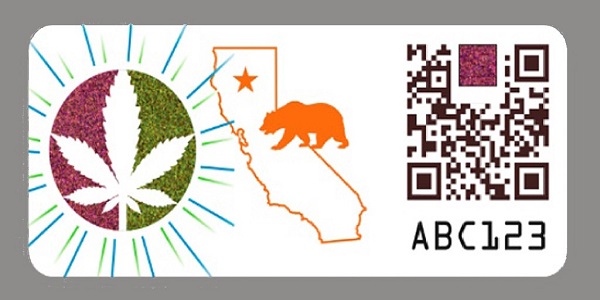 Hohe Cannabis-Steuer in Kalifornien schafft Probleme für die Anbauer