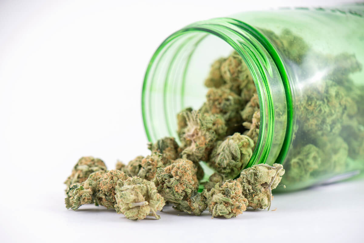 Grasknollen für den Cannabiskonsum