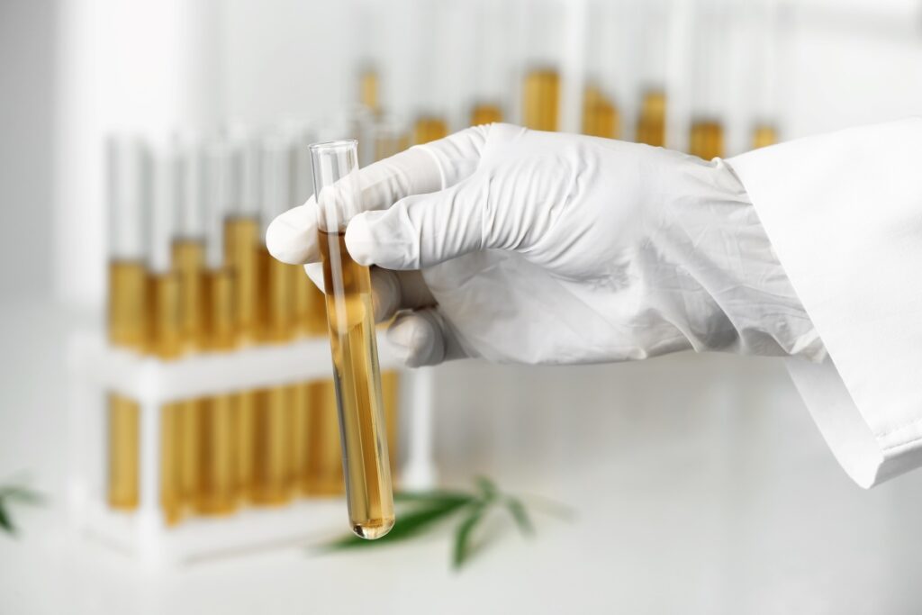 cannabis wie lange im urin nachweisbar