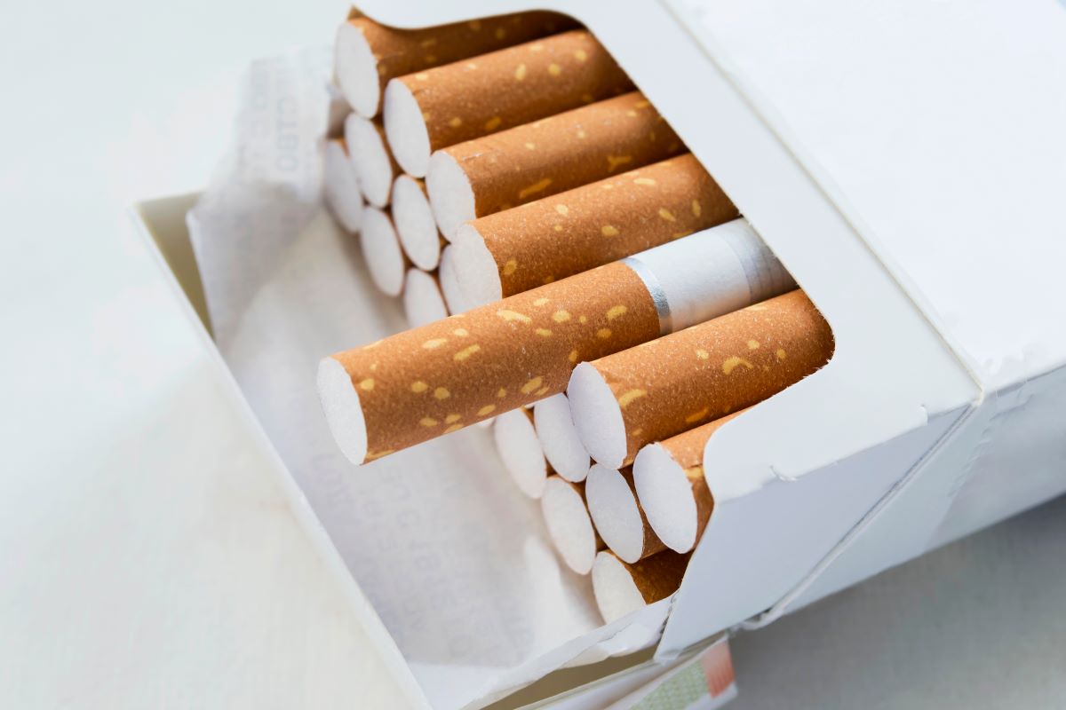 Zigaretten Filter – Die 16 besten Produkte im Vergleich & Angebote -  aktualisiert: Februar 2024