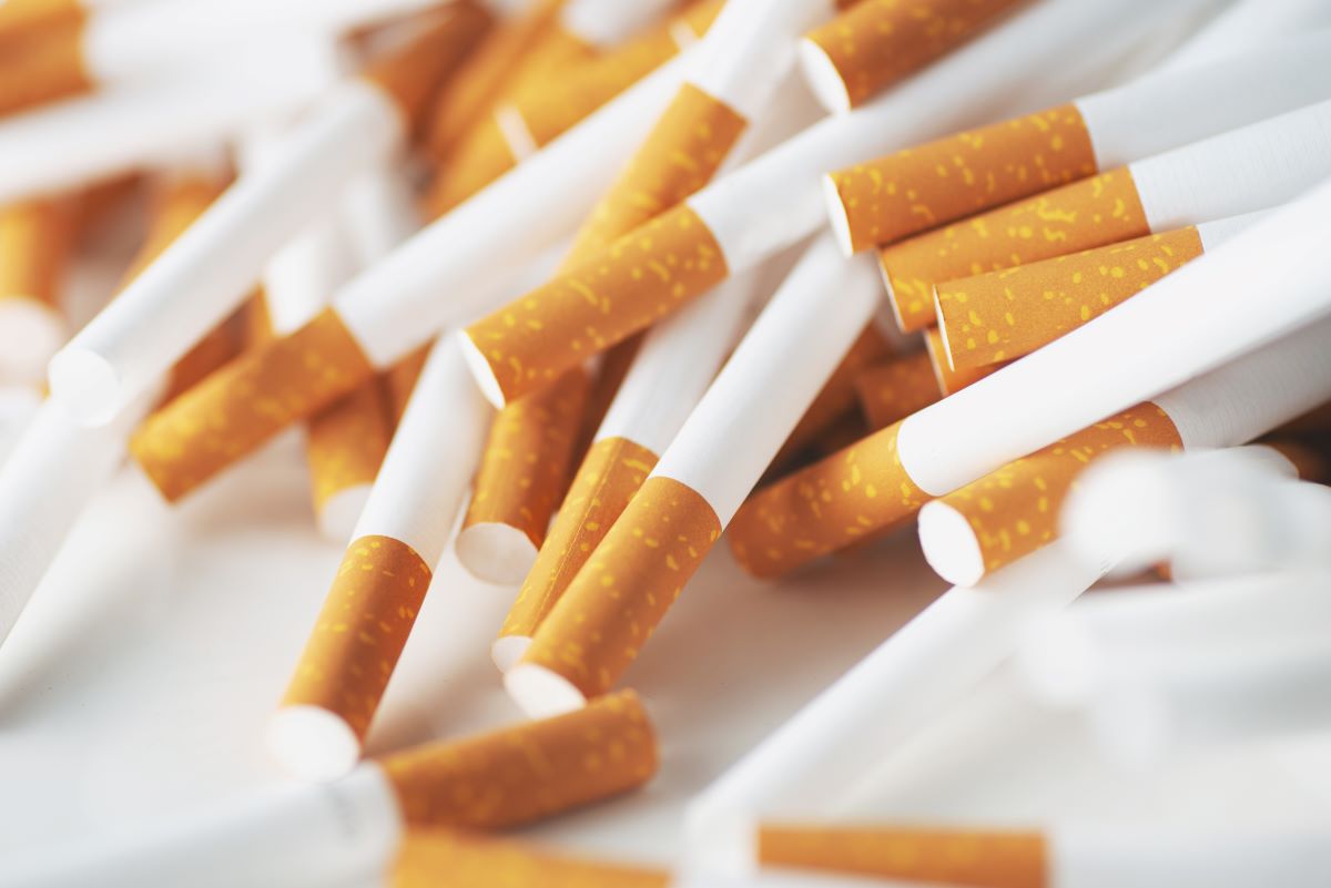 Zigaretten Filter – Die 16 besten Produkte im Vergleich & Angebote -  aktualisiert: Februar 2024