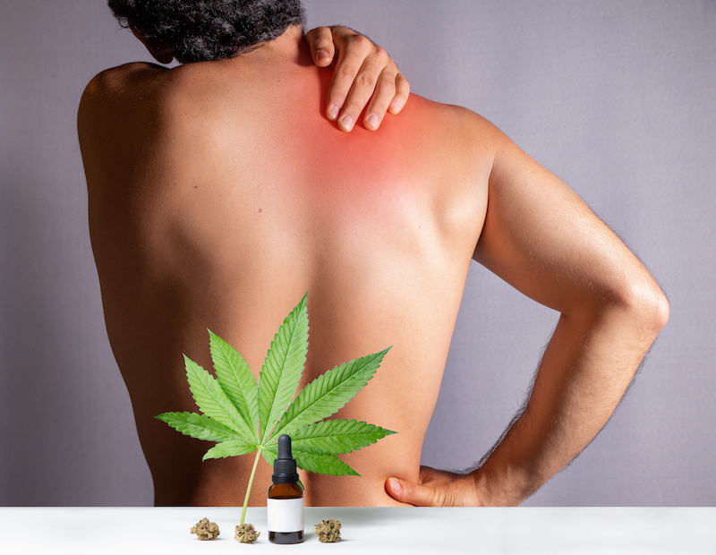 Medizinisches Cannabis in der Schmerztherapie – Möglichkeiten und Grenzen￼