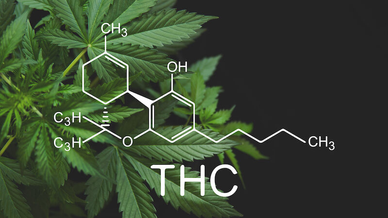 THC-Legalisierung – was für Regeln gelten dann?￼