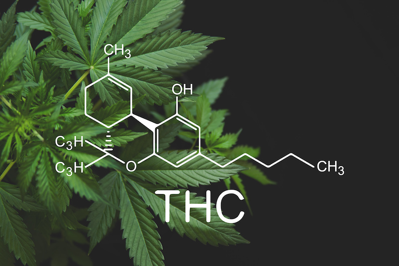 THC-Legalisierung – was für Regeln gelten dann?￼